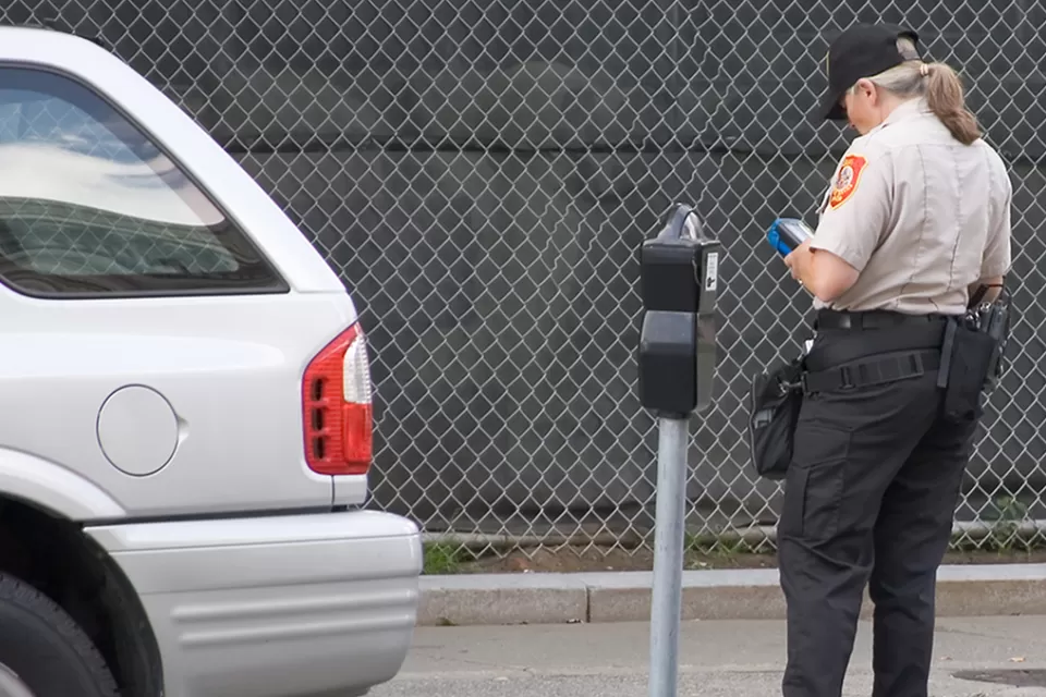 Meter Maid
